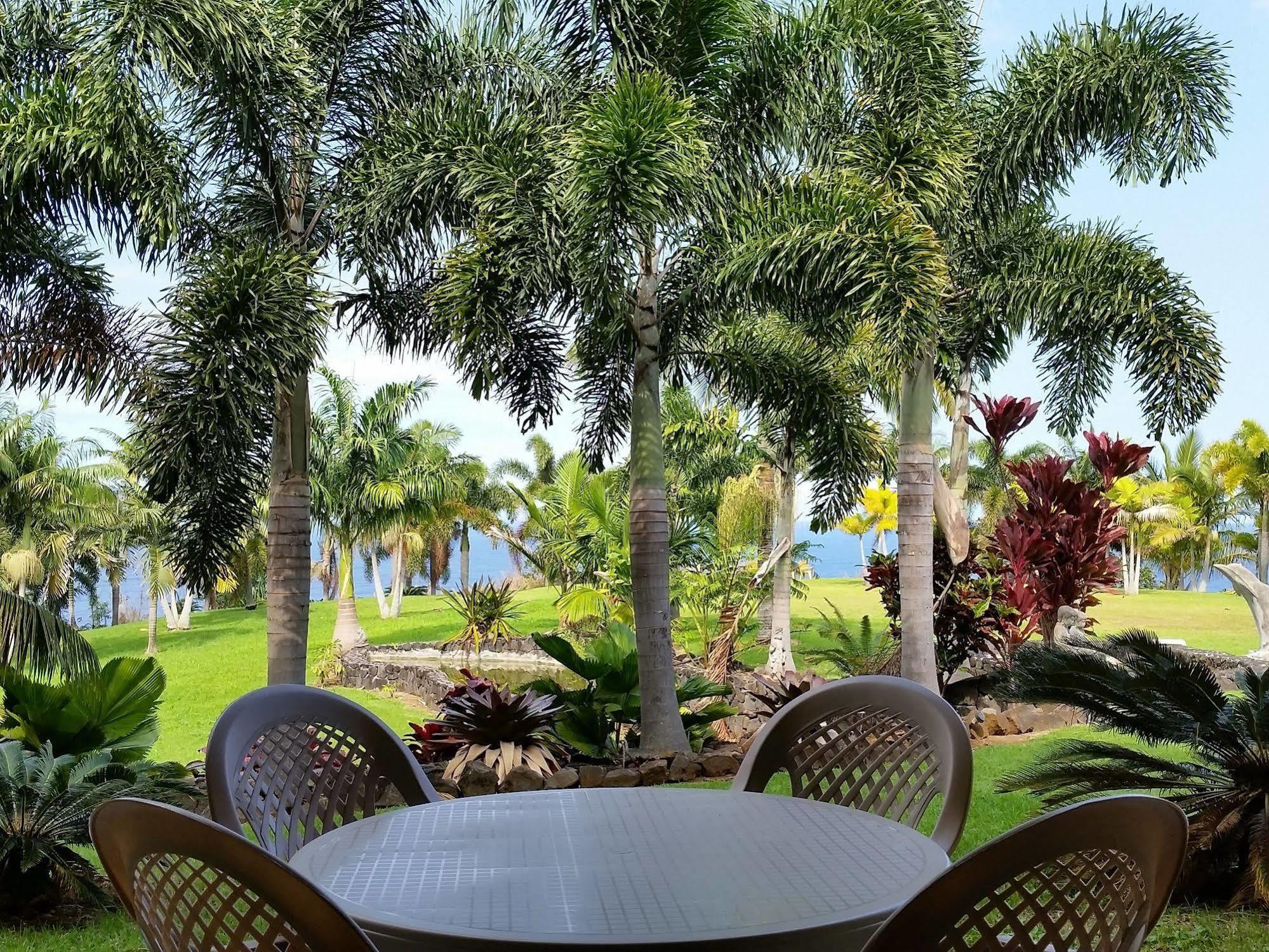 Oceanfront Vacation Rental Honomu Zewnętrze zdjęcie